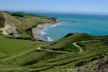 Cape Kidnappers Farm Rd 
