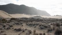  Ocean Beach Midden Dune