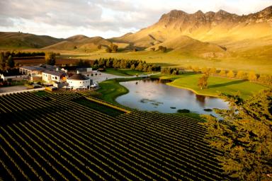 french style, winery, grapes, grand, buildings